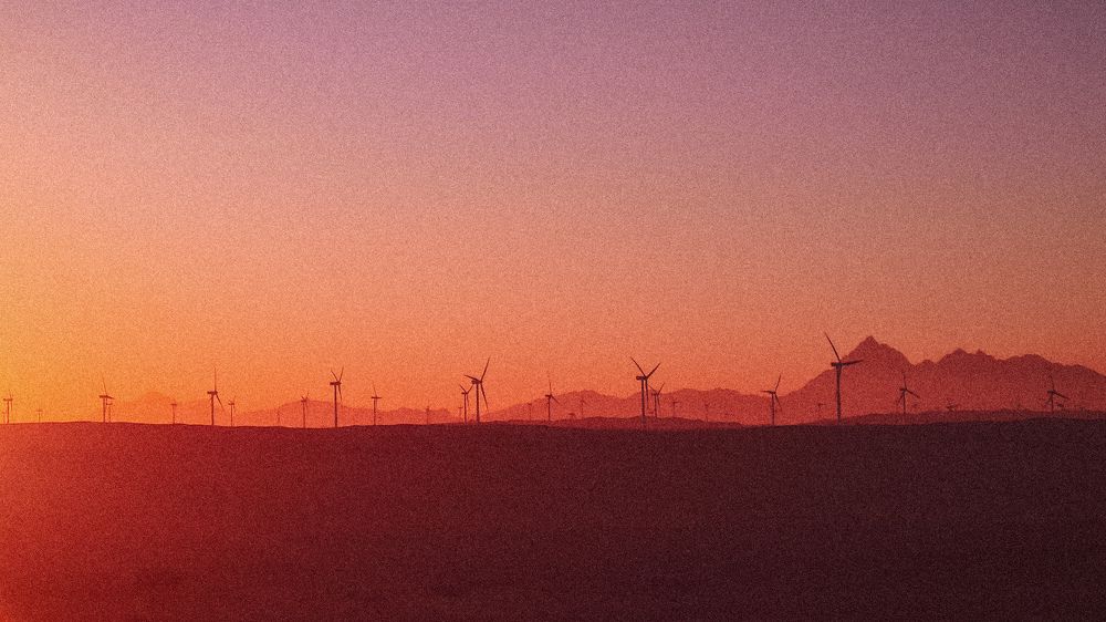 Photograph by Basel saad