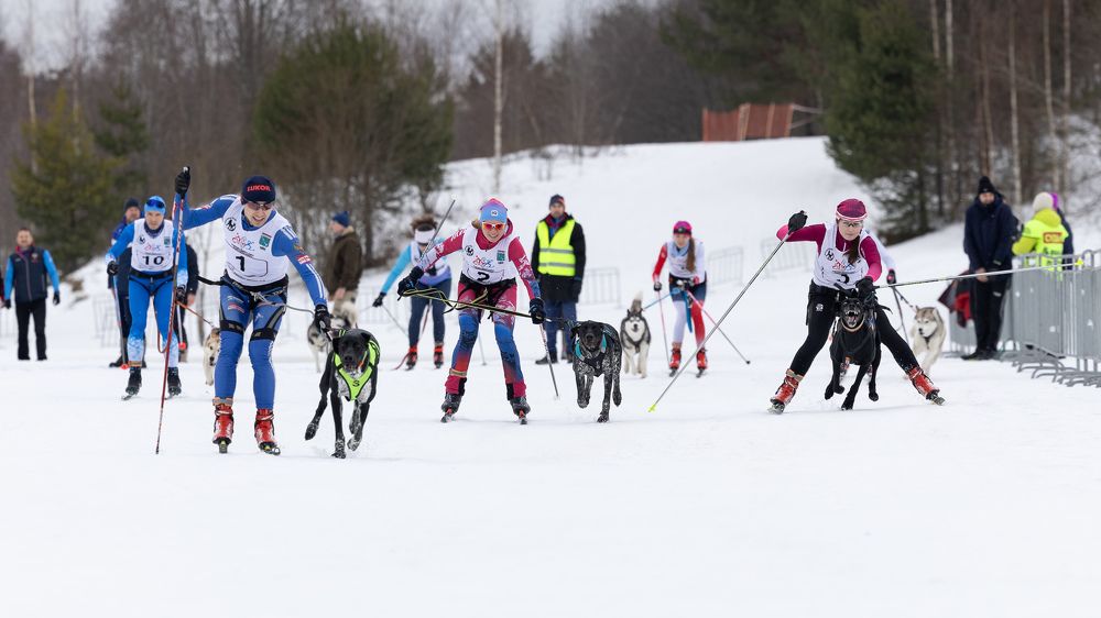 Photograph by Илья Юфа