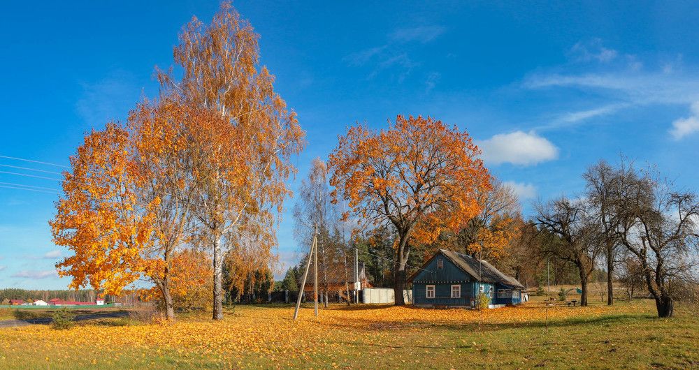 Photograph by Сергей Харитон