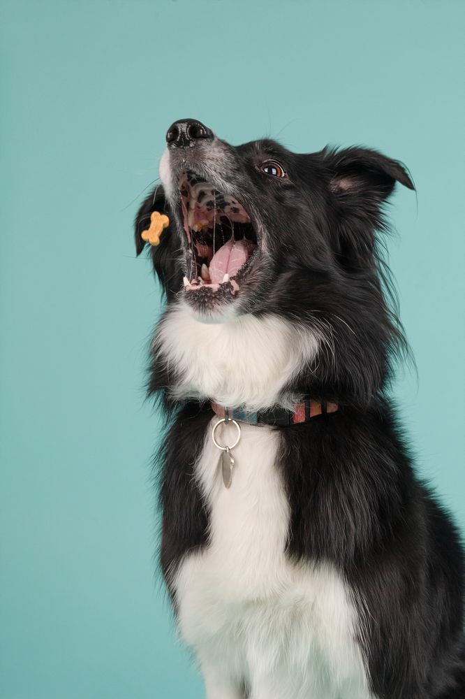 Фотография автора Alicia Mate