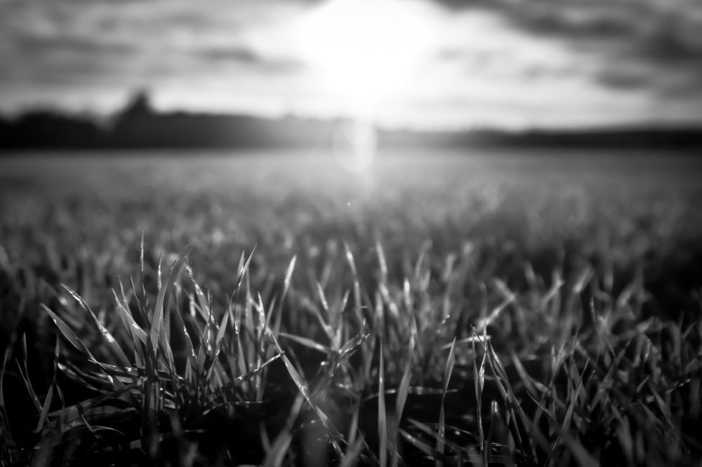 Photograph by Slavcan Vinnikov