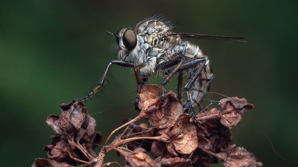 Photograph by Сергей Харитон