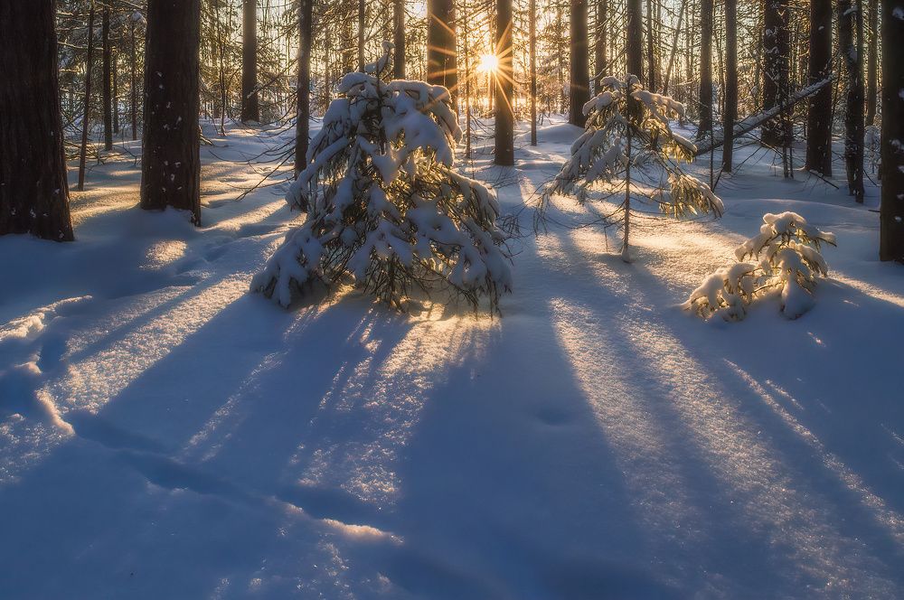 Photograph by Mysov Ivan