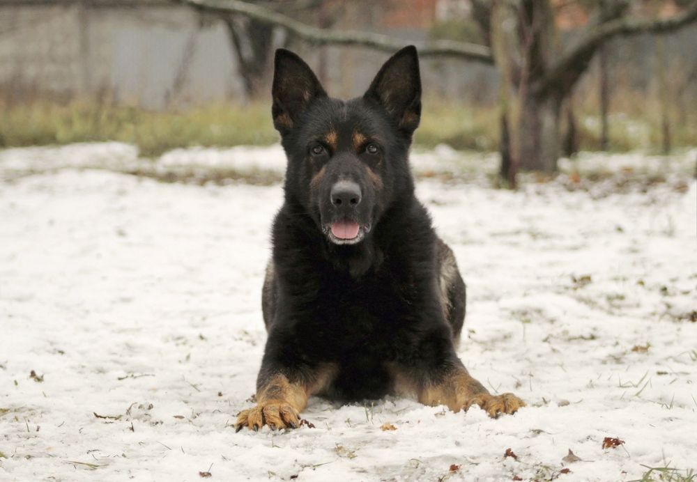 Photograph by Анастасия Рысь