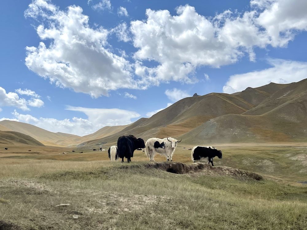 Photograph by Inna Shevchenko