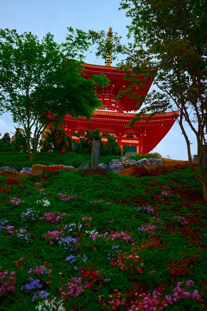 Photograph by Светлана Шевченко