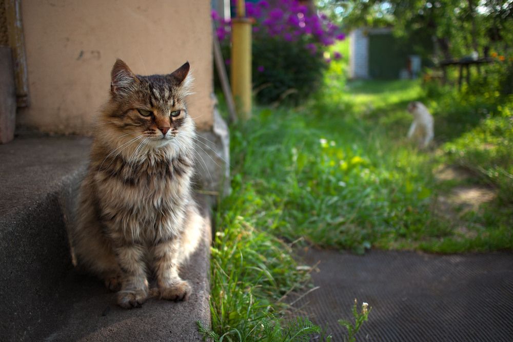 Photograph by Сергей Харитон