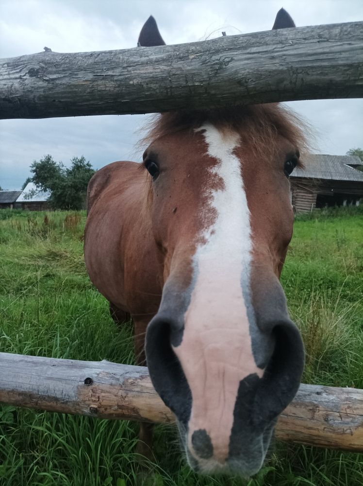 Photograph by Марина