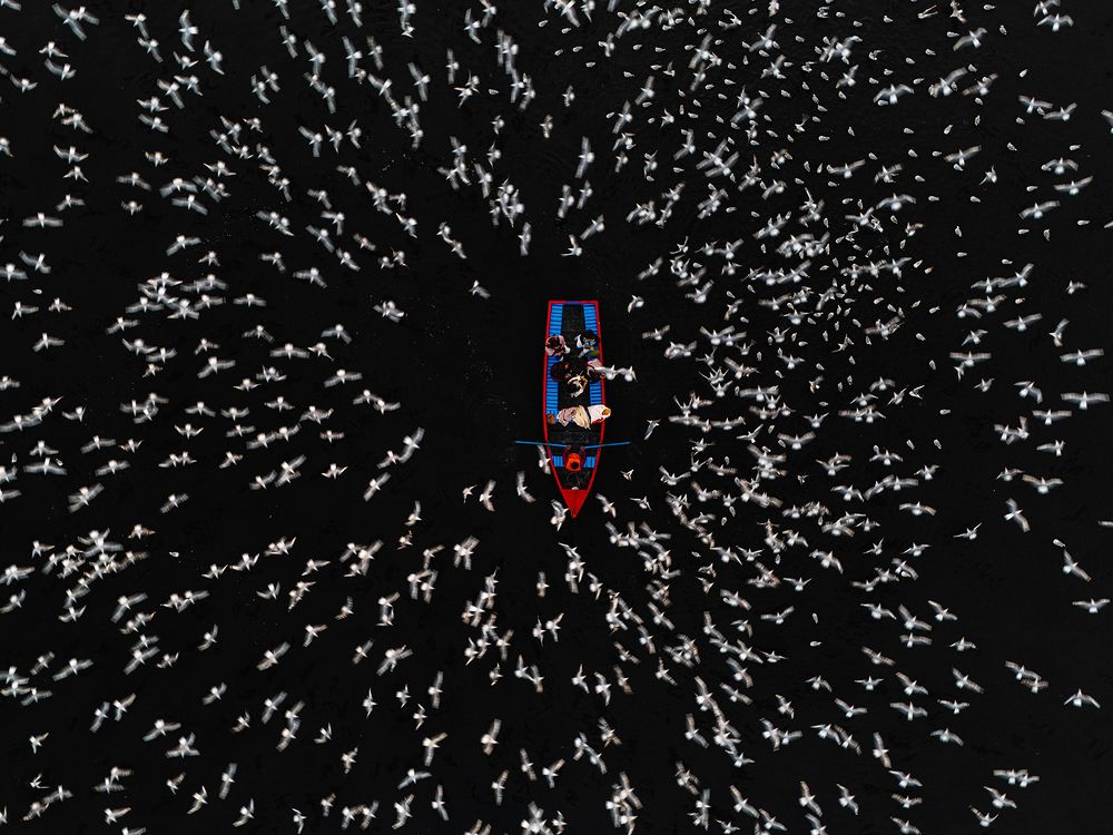 Photograph by TITTU SHAJI THOMAS