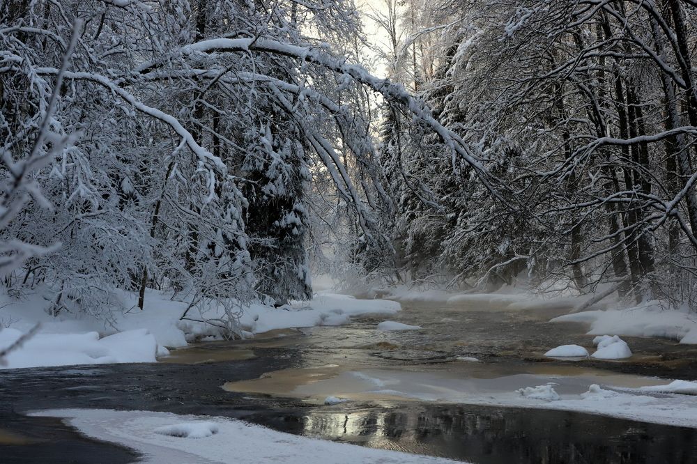 Photograph by елена