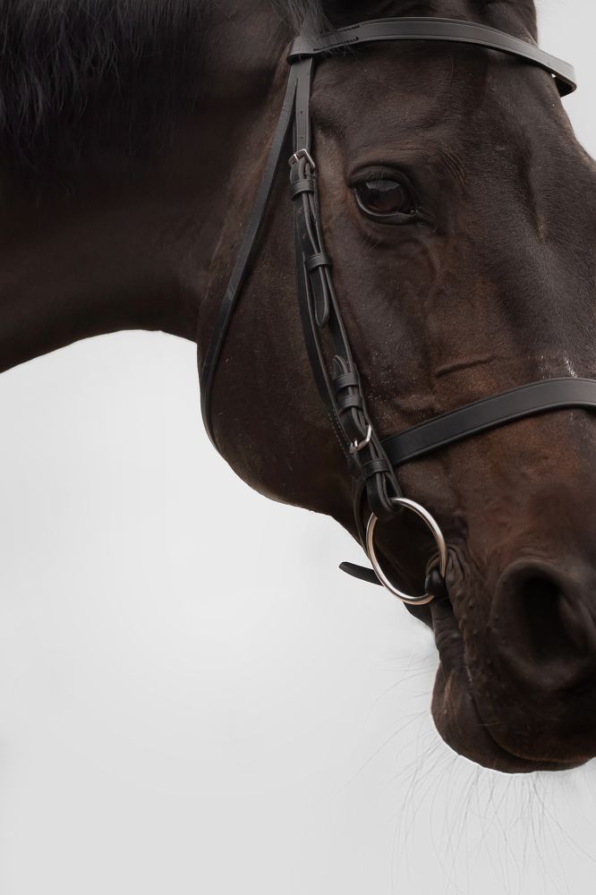 Photograph by Ирина Богатырева