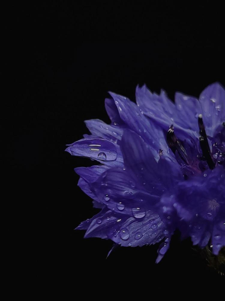 Фотография автора Лена Гром