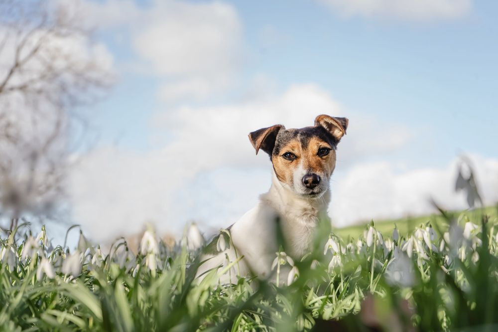 Photograph by Aga Kucinska