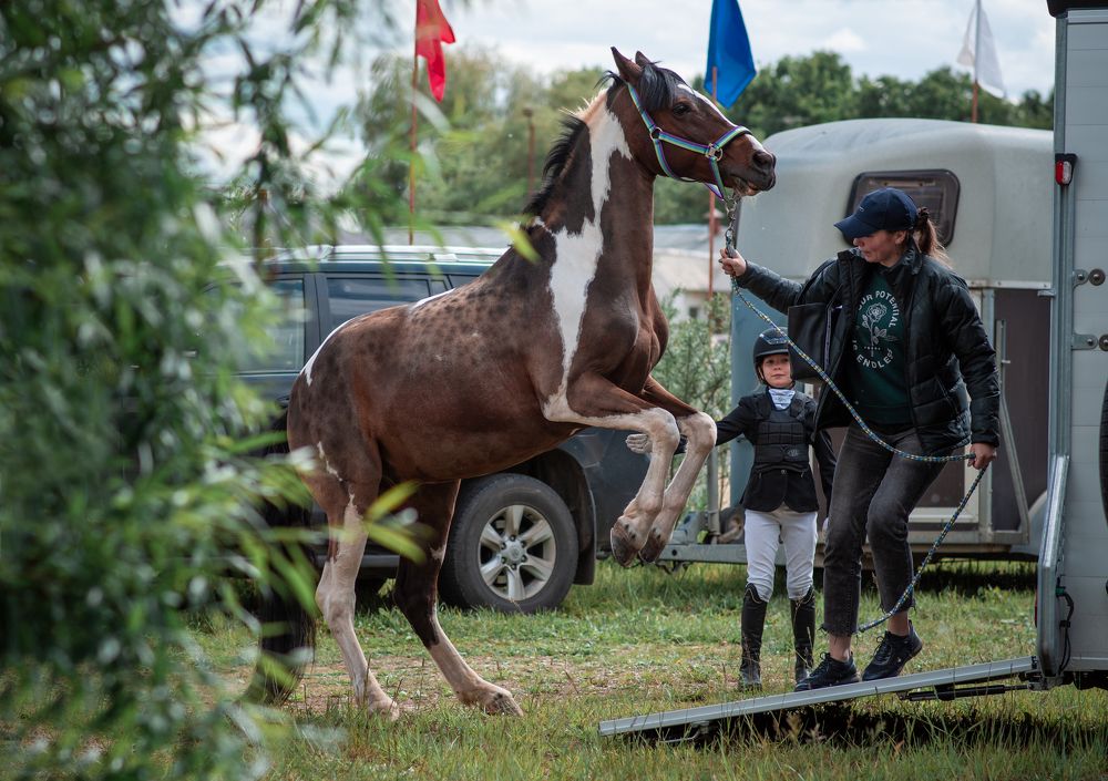 Photograph by Екатерина Лебедева