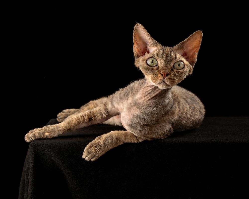 Photograph by Acrement Valentina