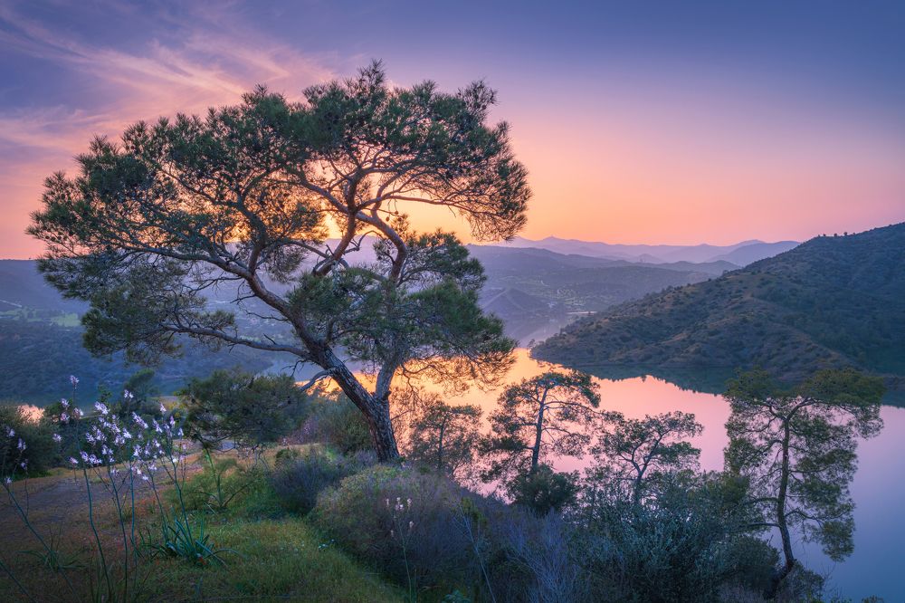 Photograph by Svetlana Tertyshnaya