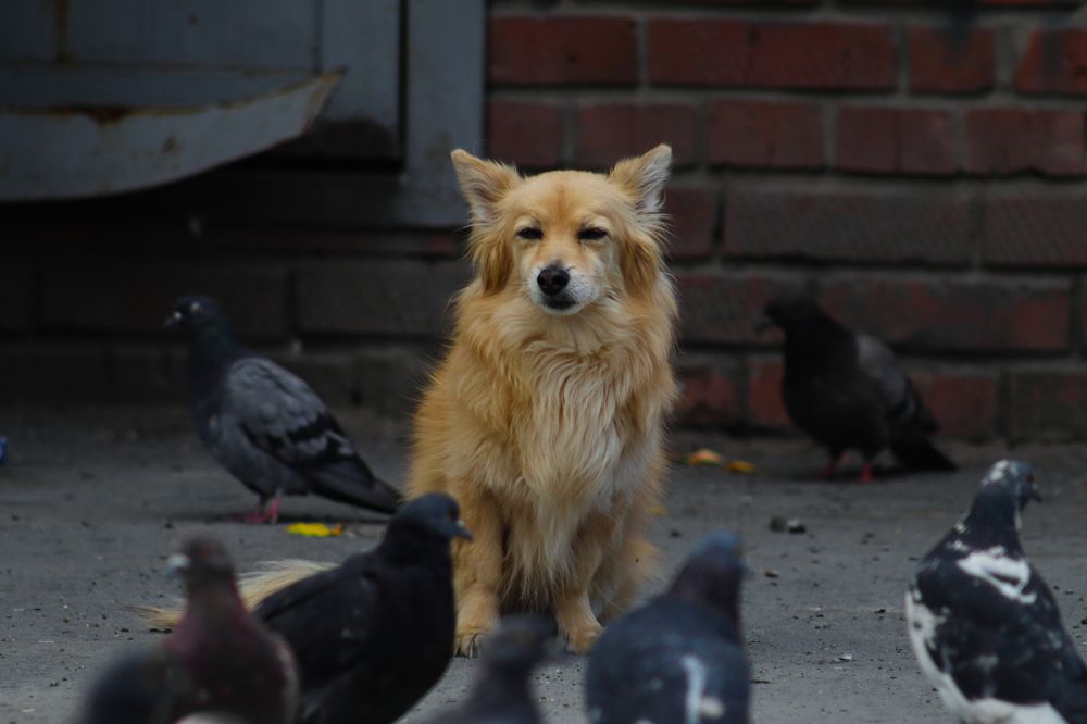 Photograph by Сергей Булышев