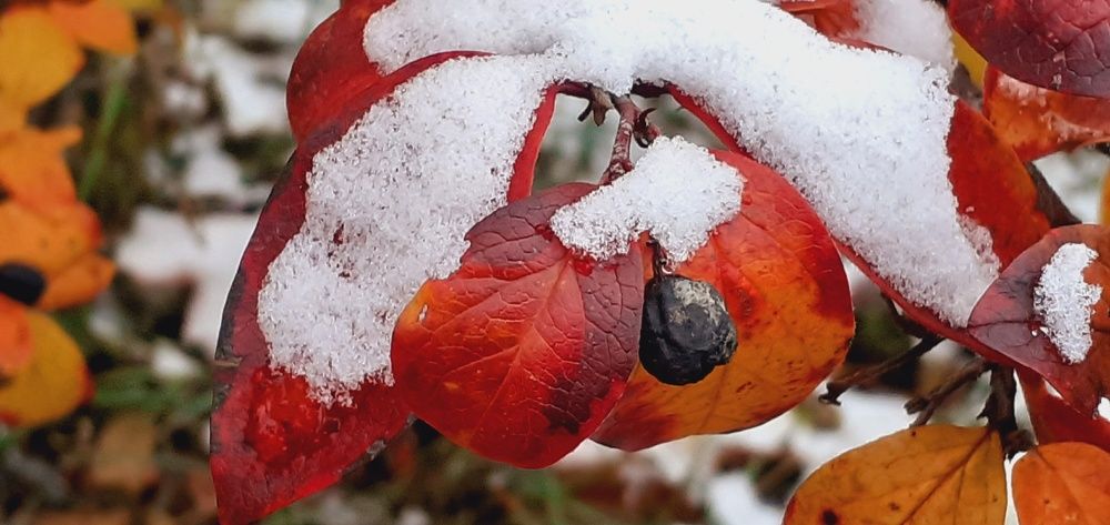 Photograph by Евгения Ульянова