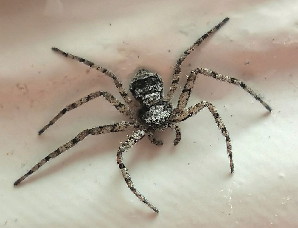 Photograph by Ирина Аверьянова