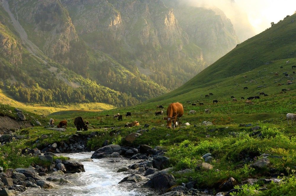 Photograph by Егор