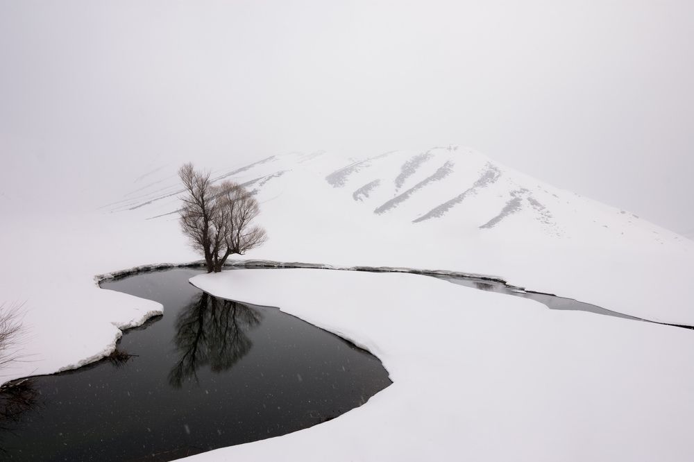 Photograph by mohammad Alipour