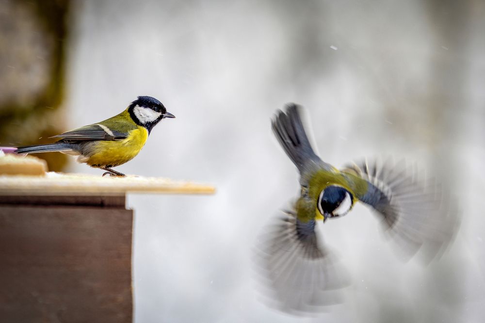 Photograph by Толяныч