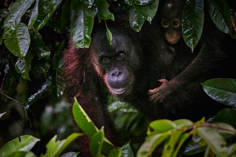 Photograph by Наумов Николай