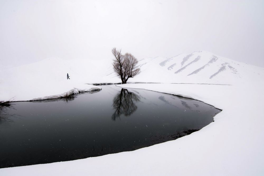 Фотография автора mohammad Alipour