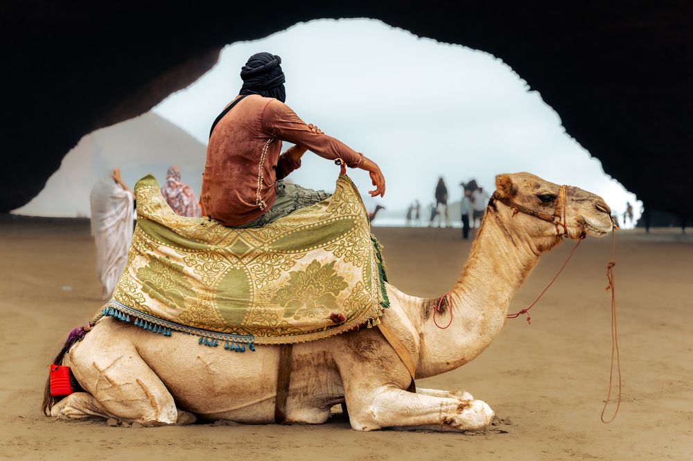 Man and his camel