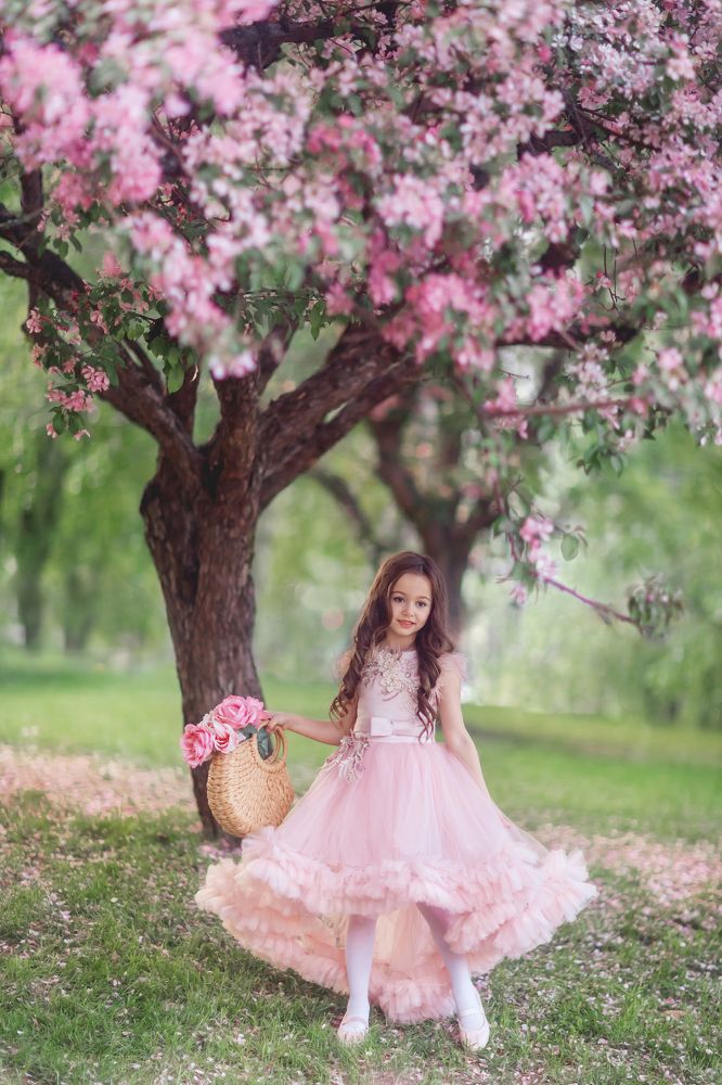 Фотография автора Diana Evseeva