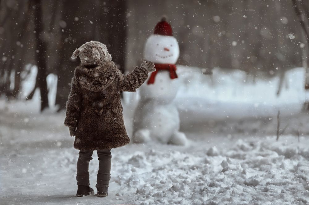 История дружбы