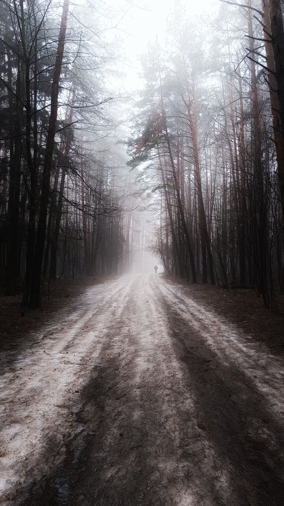 Photograph by Leanid Kulpo