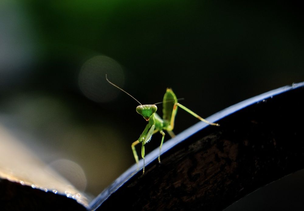 Photograph by Екатерина Загородина