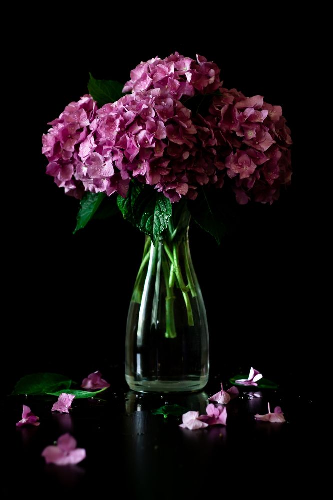 Photograph by Алёна Газукина