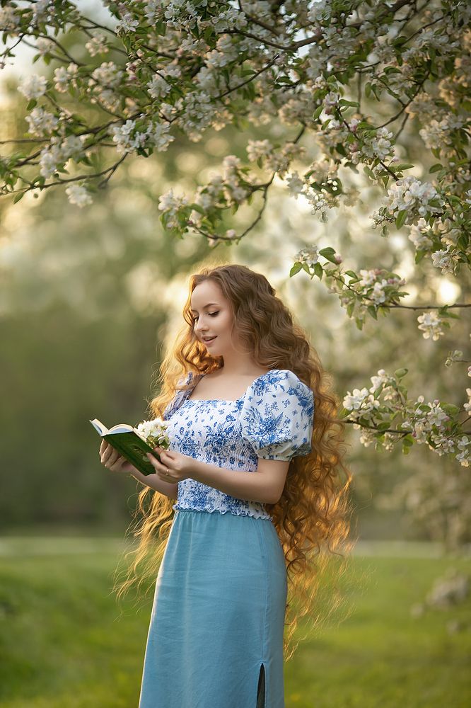 Яблони цветут