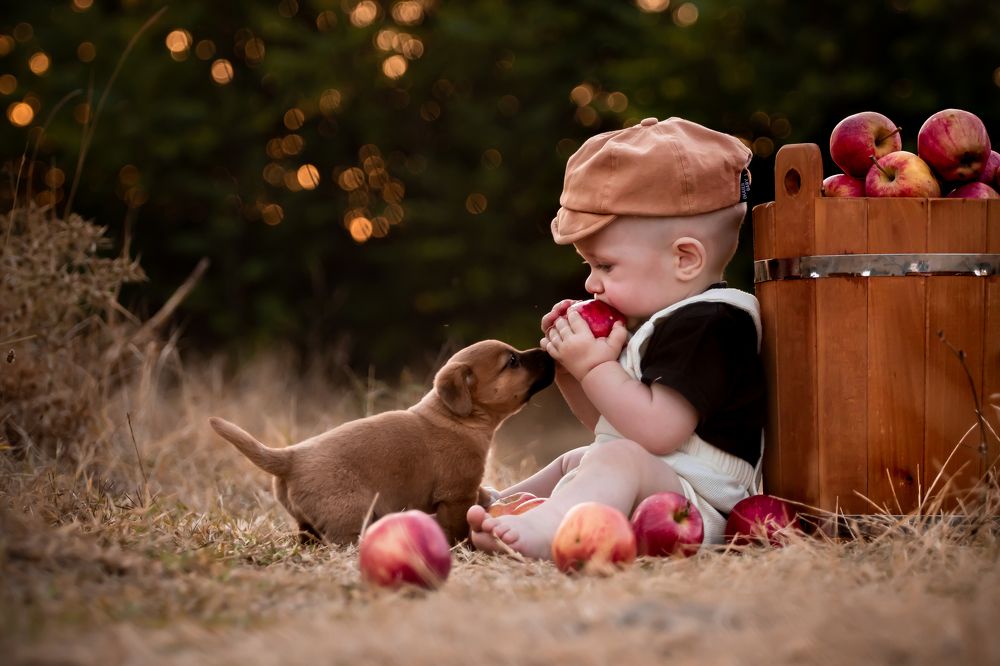 Photograph by Алёна Газукина