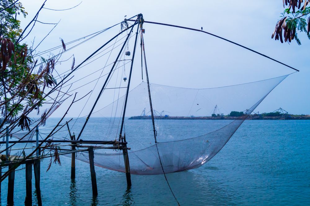 Always think like a fish, no matter how weird it gets