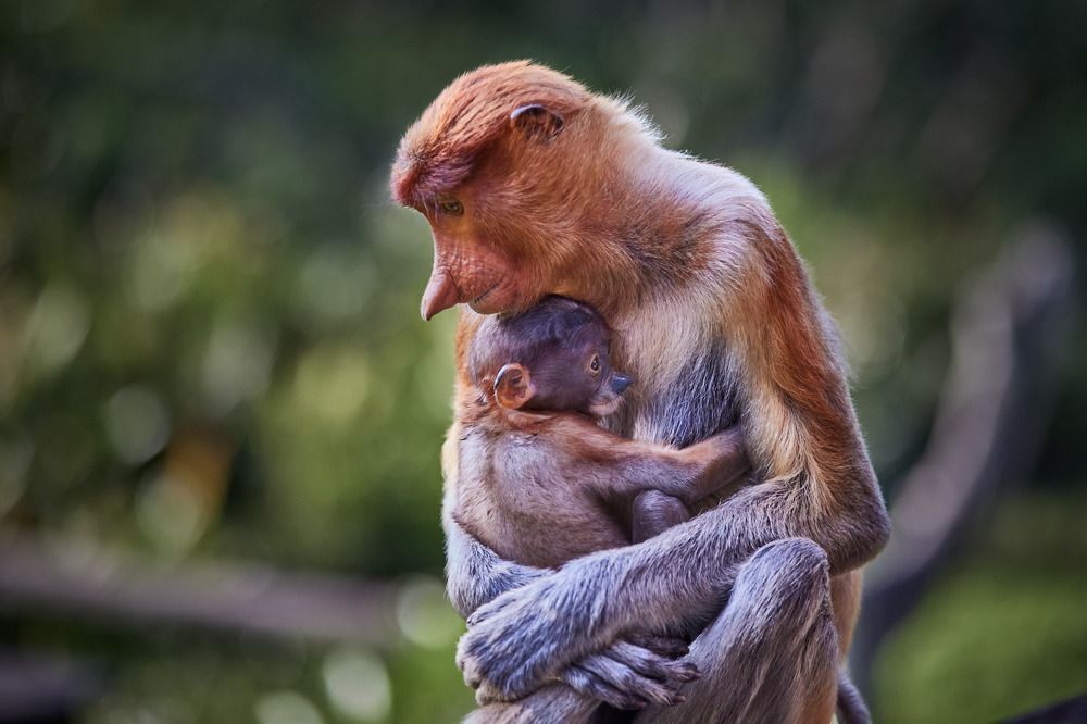 Photograph by Наумов Николай