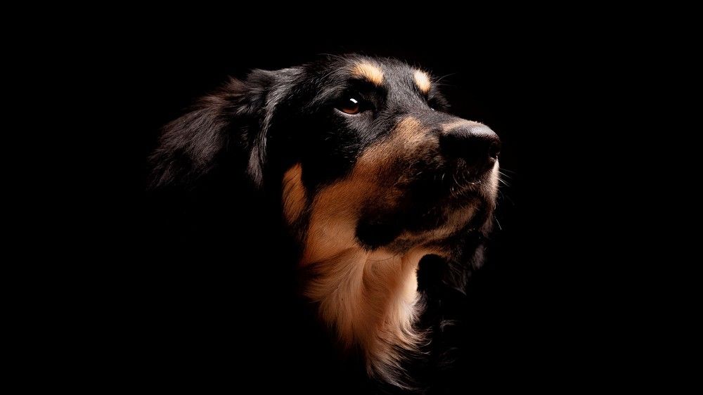 Photograph by Viktor Rudofilov