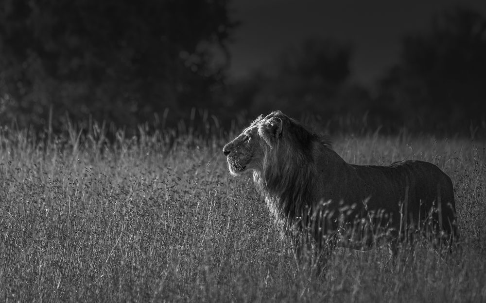 Photograph by Jayakumar MN