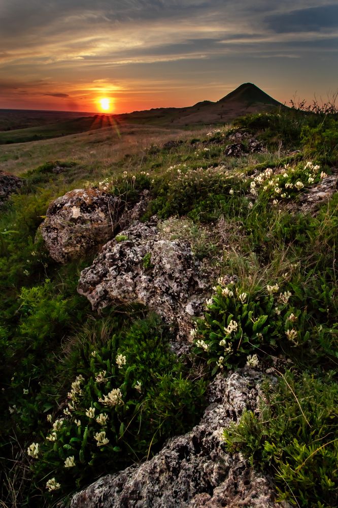 Photograph by Алёна Газукина