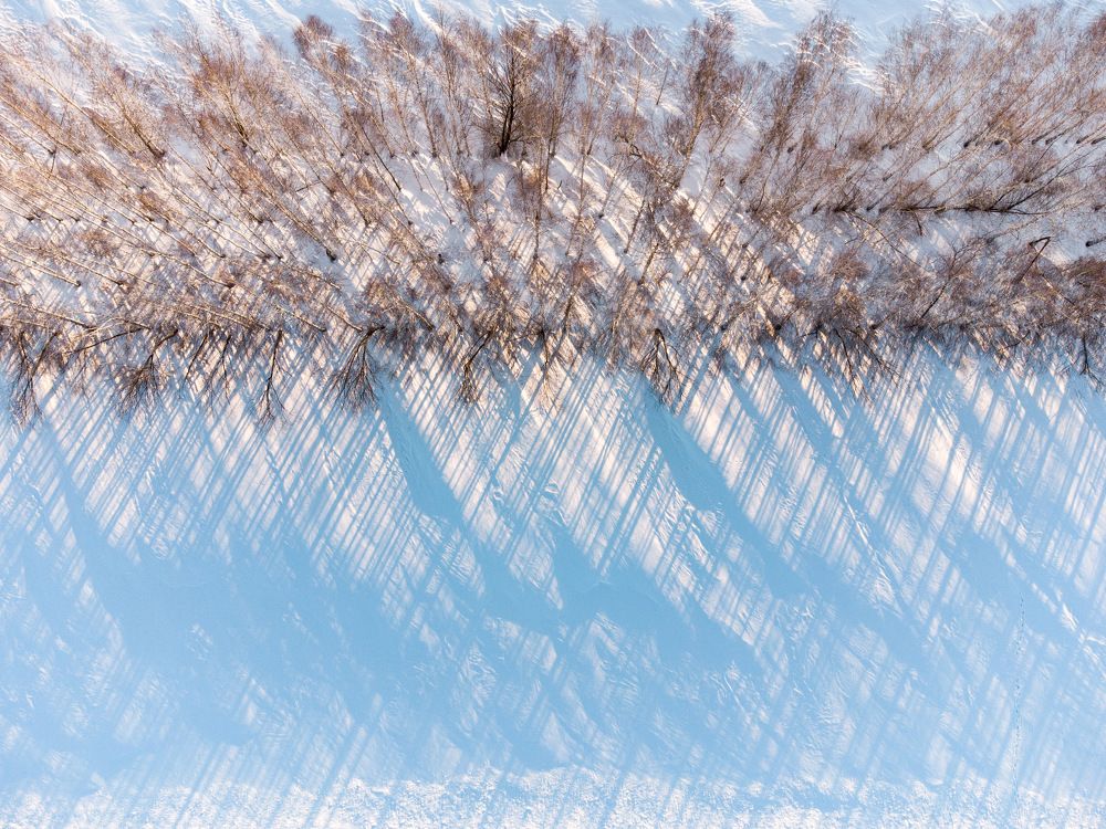 Photograph by Вячеслав