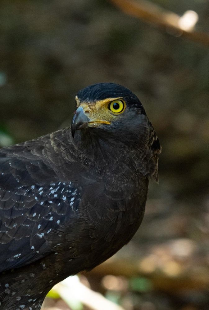 Photograph by Niveth Kumar