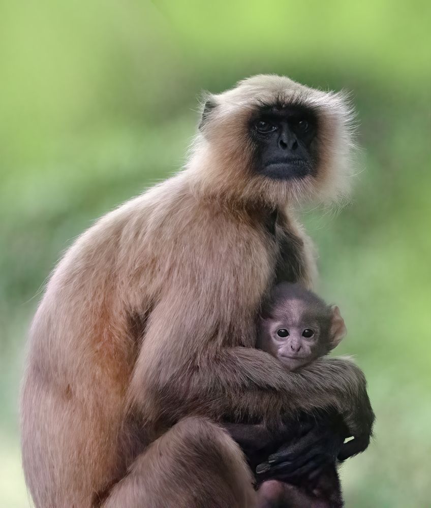 Photograph by Abhishek Manna