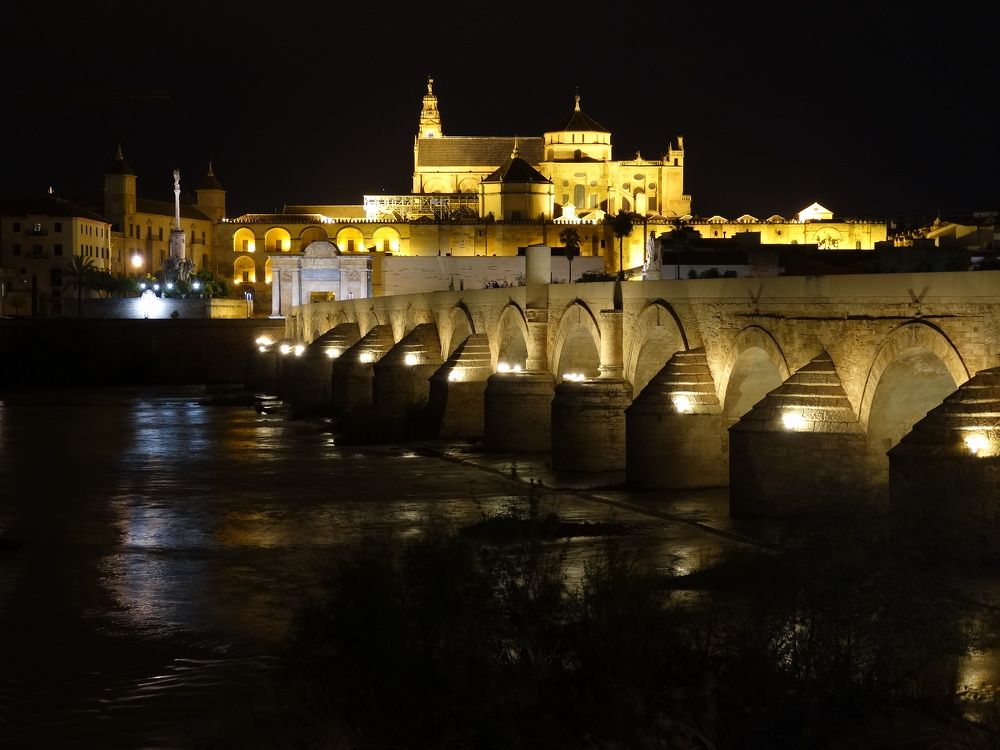 Photograph by Мила Милая