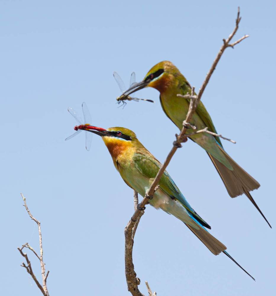 Photograph by Niveth Kumar