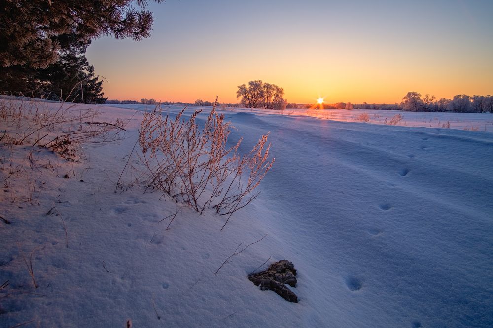 Photograph by Александр Корженков