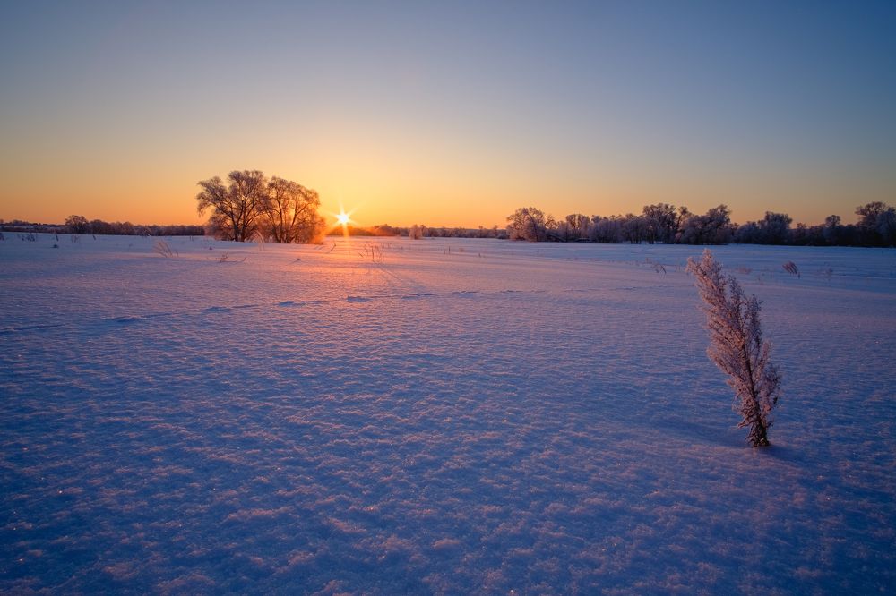 Photograph by Александр Корженков