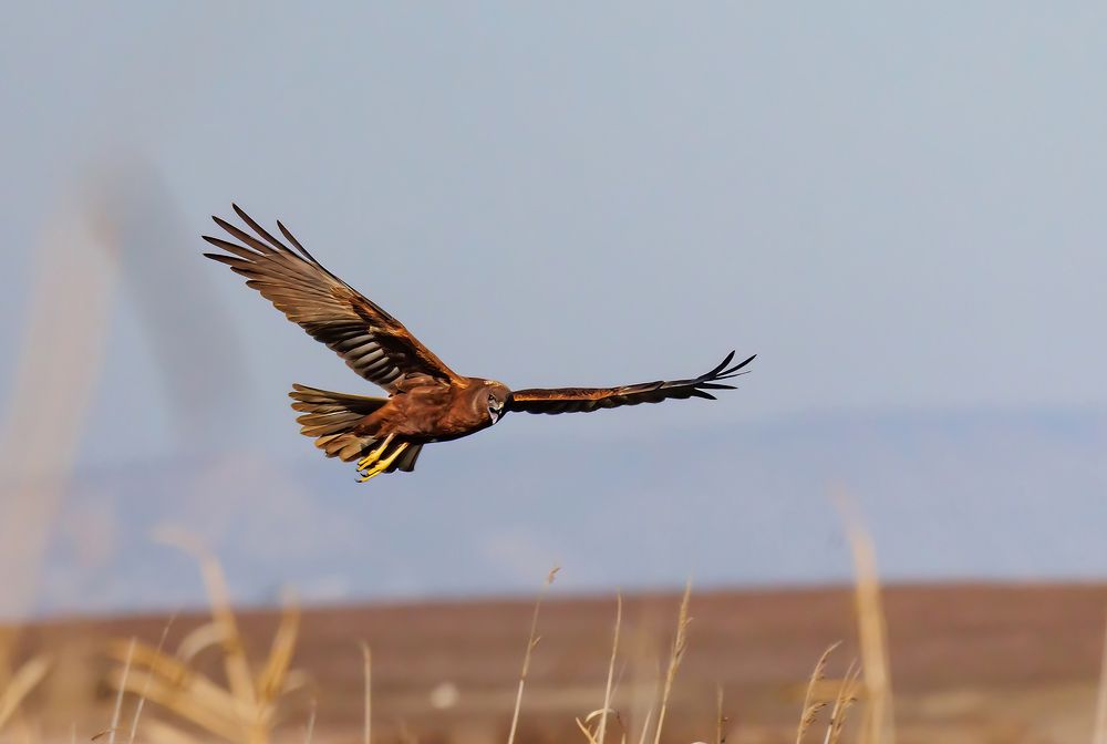 Photograph by Волынский Виктор