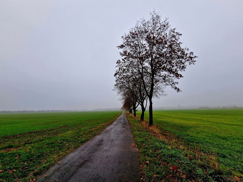 Photograph by Maria Zorich